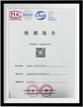 Test Report