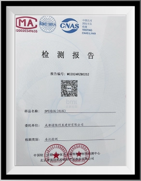 Test Report