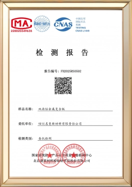 Test Report