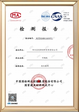 Test Report