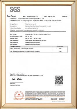 Test Report