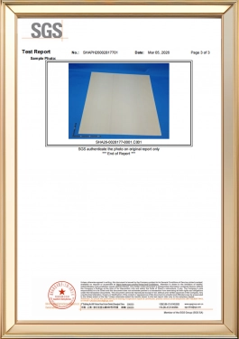 Test Report