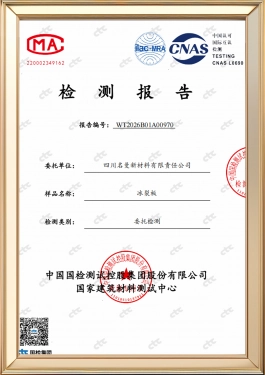 Test Report