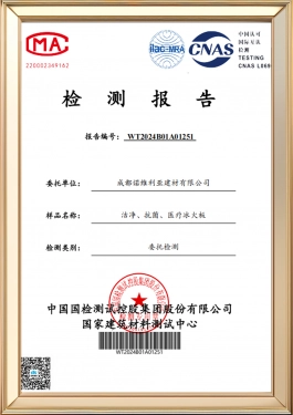 Test Report
